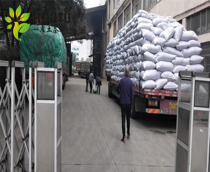  chunmee 41022 tea free sample