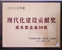DEVELOPMENT HISTORY