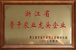DEVELOPMENT HISTORY
