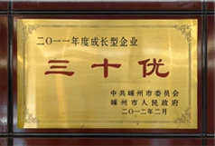 DEVELOPMENT HISTORY